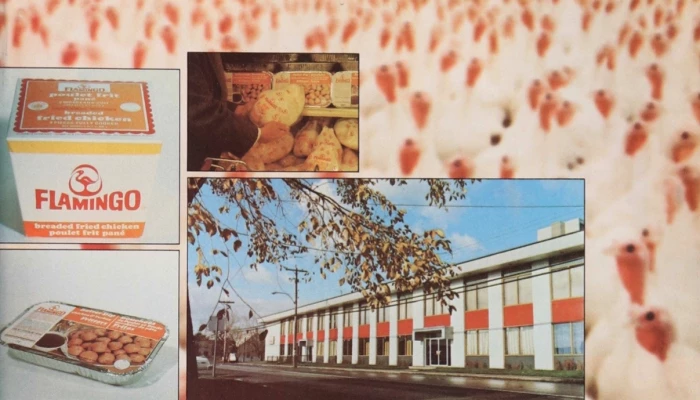 Visuel avicole de 1976