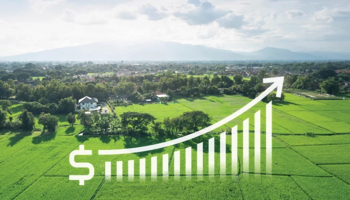 Graphique illustrant un gain d'argent sur fond agricole