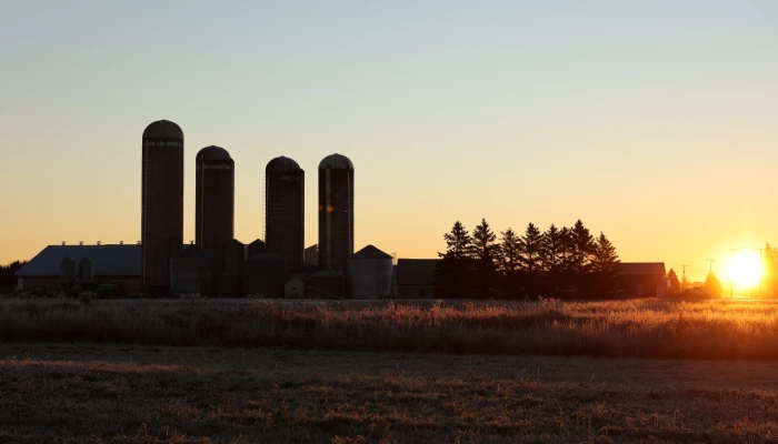 Paysage agricole au soleil couchant