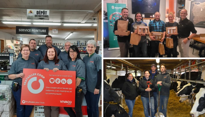 Groupes qui célèbrent la Semaine de la coopération