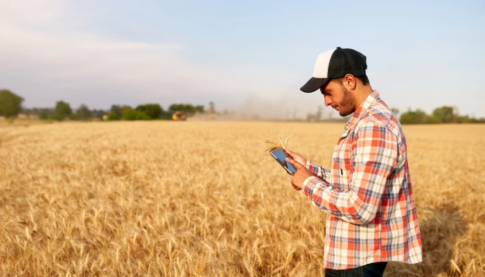 Un homme dans un champ regardant son téléphone