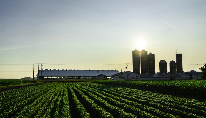 Ferme laitière sur fond de coucher de soleil-photo de Sollio Agriculture