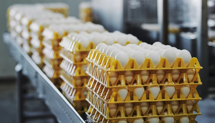 Oeufs
