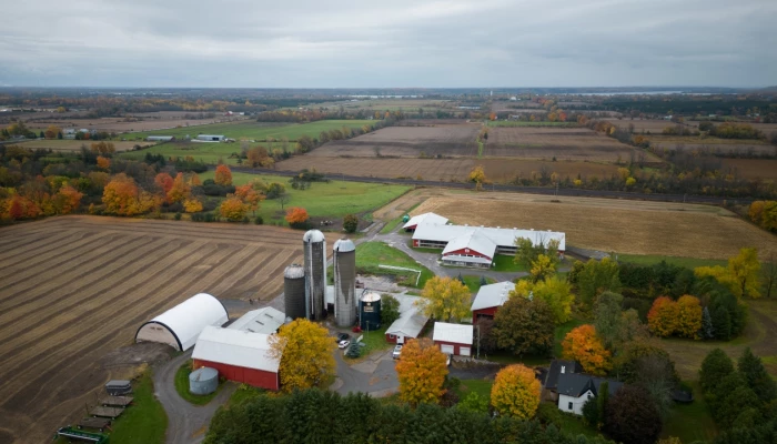Paysage agricole automnal