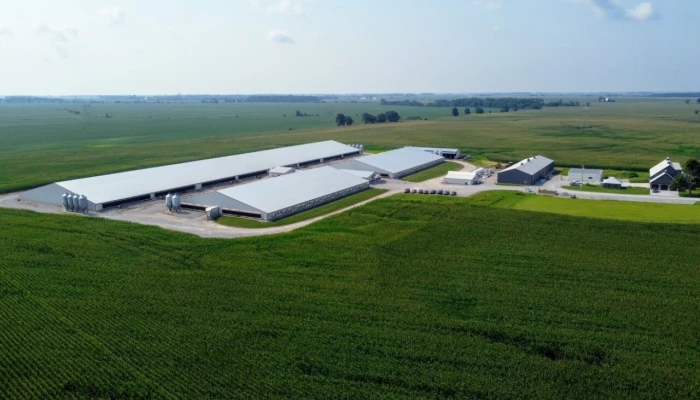 Fine Swine LLC Family Farms