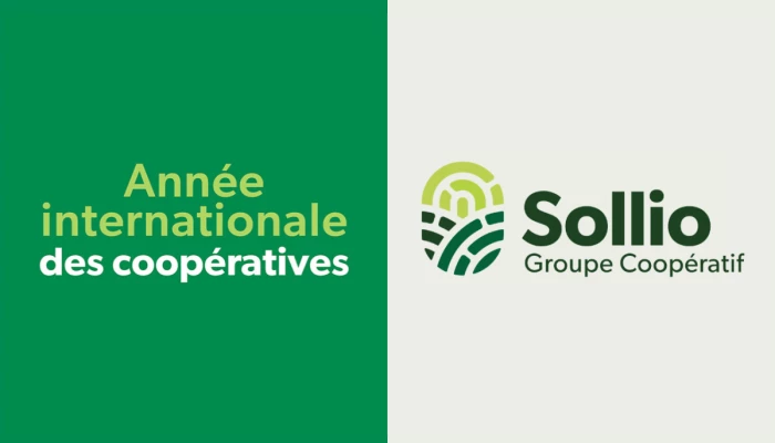 Visuel de l'Année internationale des coopératives