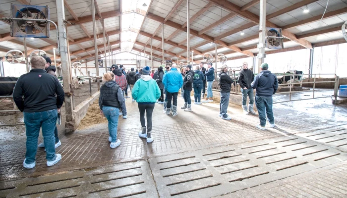 Visiteurs à l'intérieur de l'étable