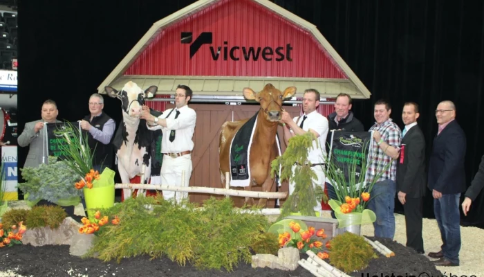 Championne suprême 2016