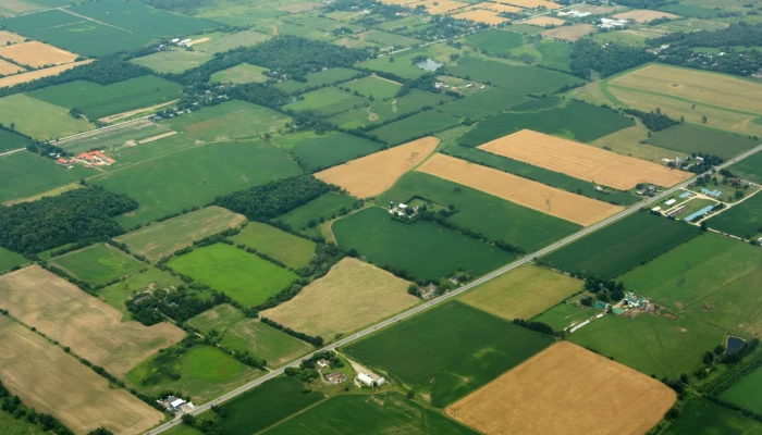 Champs agricoles