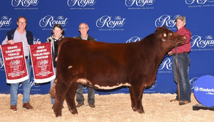La ferme Shadybrook Shorthorns gagne à la RAWF