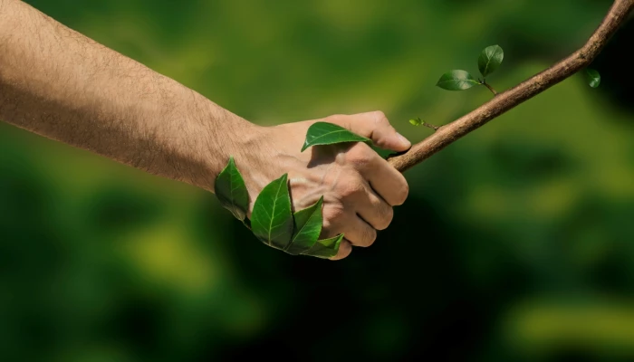 Main et arbre poignée de main