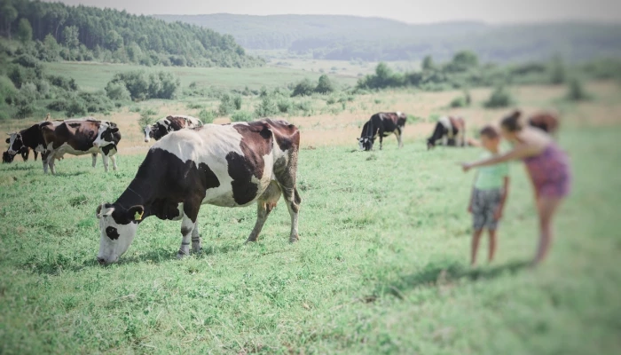 Production-laitiere-ukraine