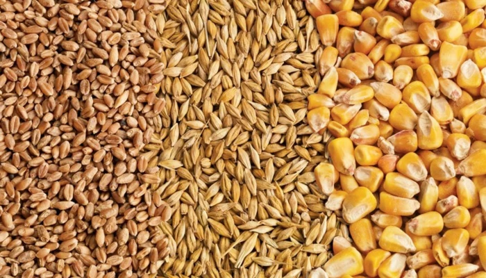 Vente de grains: orge, avoine et maïs