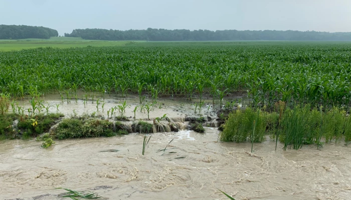 Champ inondé