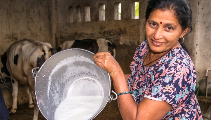 Productrice laitière d'Inde