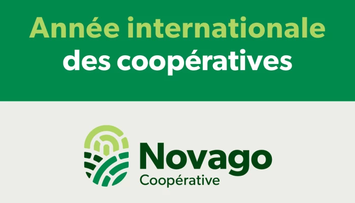 Logo de l'Année internationale des coopératives et logo de Novago Coopérative