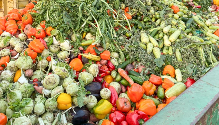 Des légumes expirés dans un conteneur à vidange