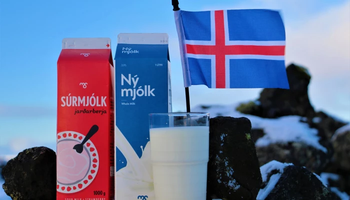 Des pintes de lait en Islande