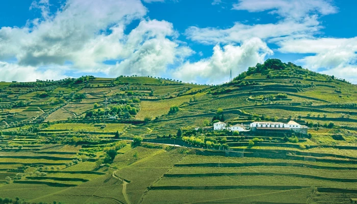 La vallée du Duro au Portugal