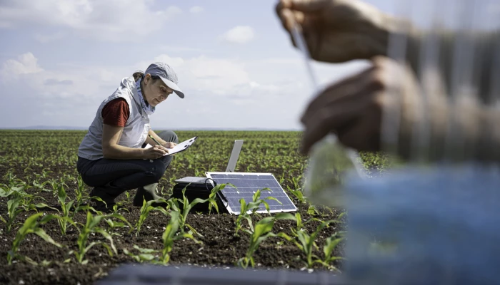 Gens étudiant un champ