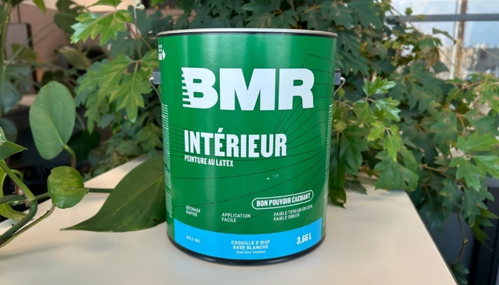 Pot de peinture BMR Intérieur