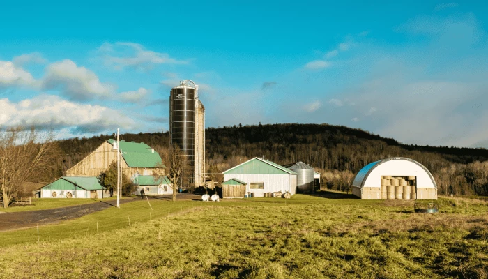 Le paysage d'une ferme en automne