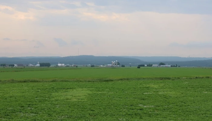 Paysage de champ verts avec des longues parcelles horizontales.