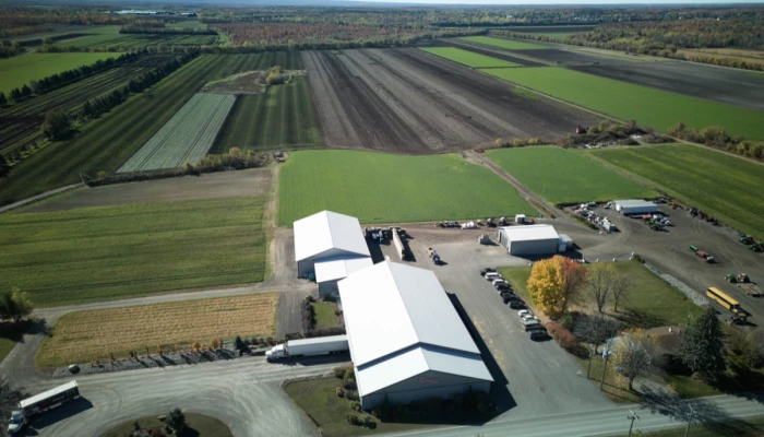 Paysage agricole d'une ferme de laitue