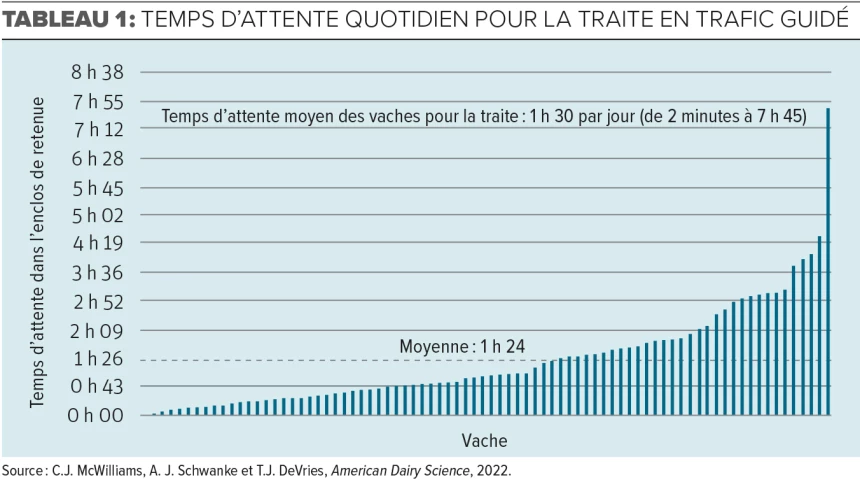 Tableau du temps d'attente quotidien pour la traite en trafic guidé