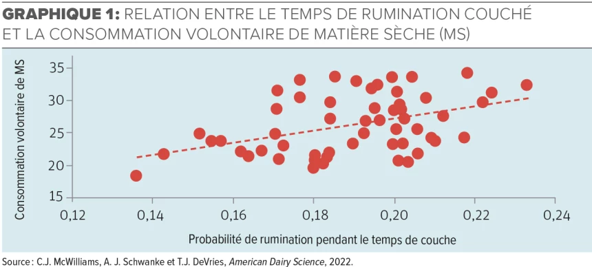 Relation entre le temps de rumination couché et la consommation volontaire de matière sèche (MS).)