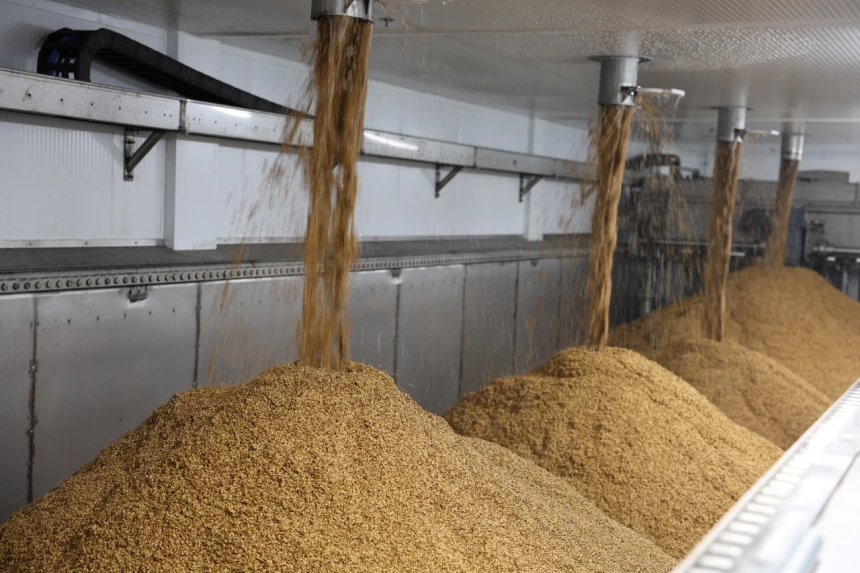 Chute à grain pour la fermentation alcoolique, étape de production du malt. 