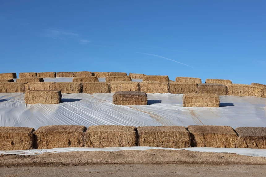 Meule d'ensilage