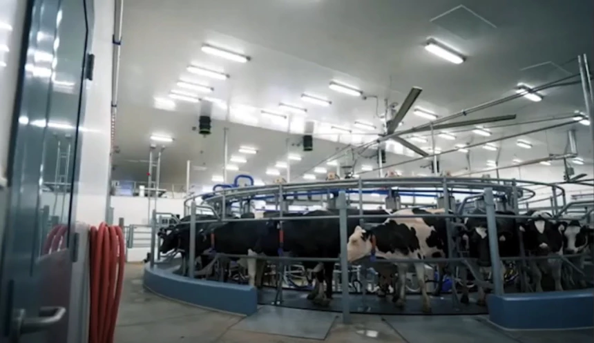 Carrousel de traite dans le bâtiment de nutrition de précision