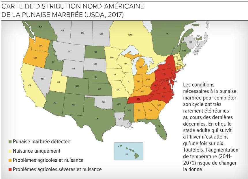 Carte de la distribution nord-americaine de la punaise marbrée