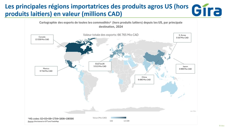 Graphique sous forme de carte du monde