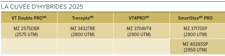 Nom des semences de mais hybride 2025 par Maizex 