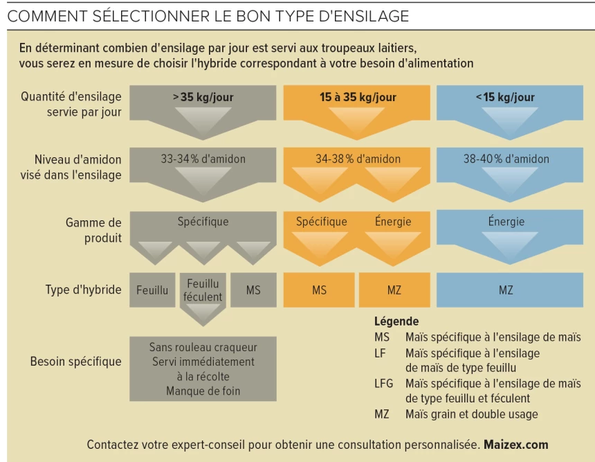 Le guide de sélection du bon type d'ensilage