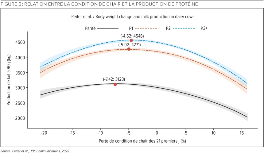 Figure 5 : Relation entre la condition de chair et la production de protéine