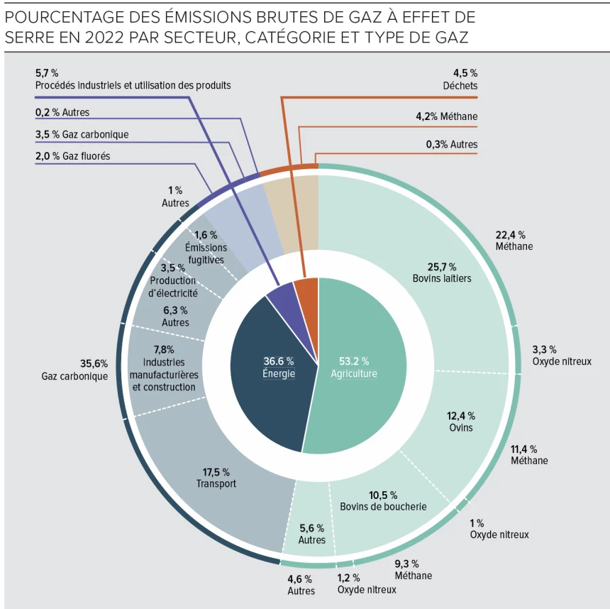 Graphique sur le pourcentage des émissions brutes de gaz à effet de serre