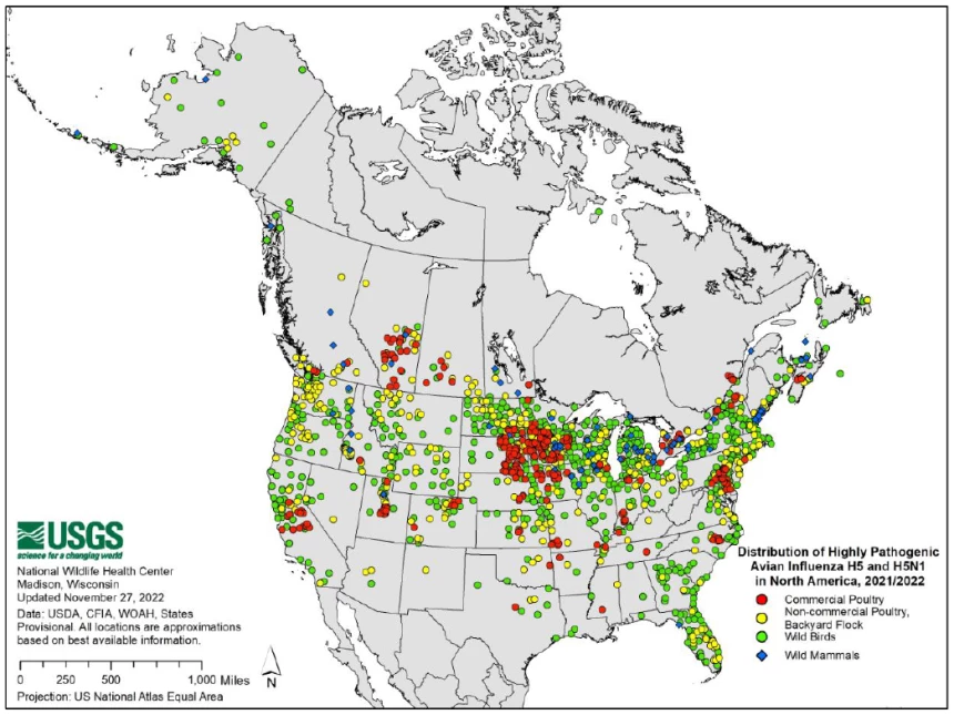 Carte des cas d’influenza aviaire