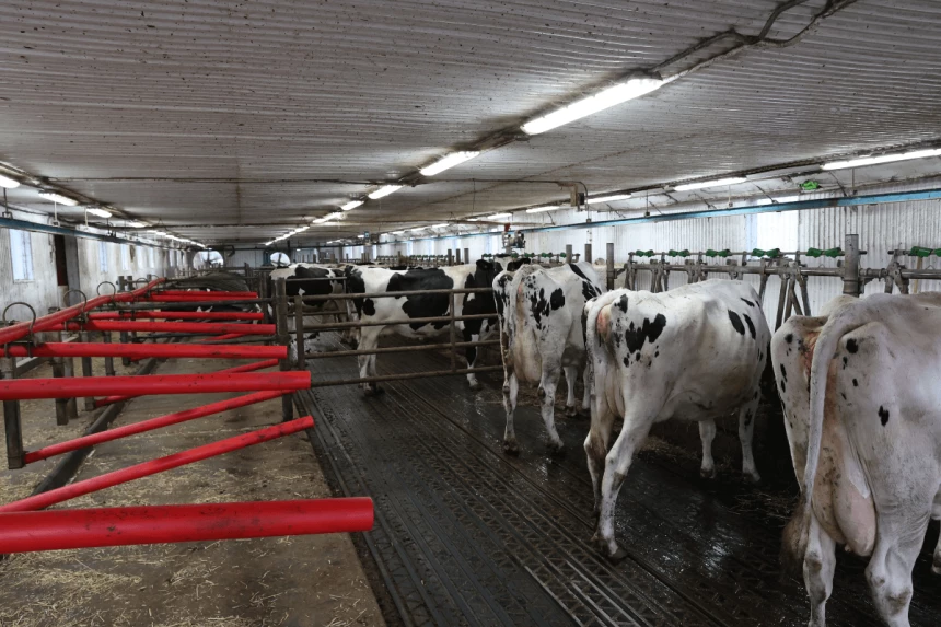 Parcs de la Ferme Forgel