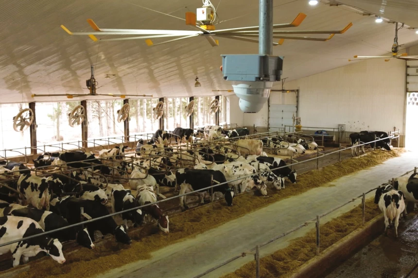 Le système d'observation de la Ferme Caribou