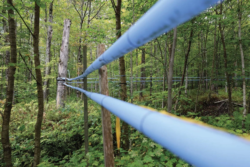 Installations pour la production acéricole