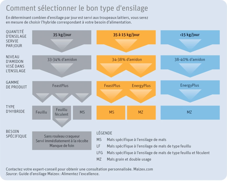Graphique indiquant comment sélectionner le bon type d'ensilage.