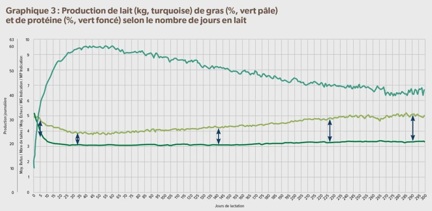 Graphique sur la production de lait, de gras et de protéine selon le nombre de jours en lait