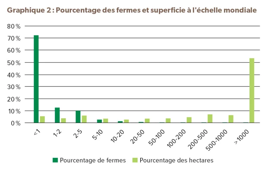 Graphique sur le pourcentage des fermes et superficie à l’échelle mondiale