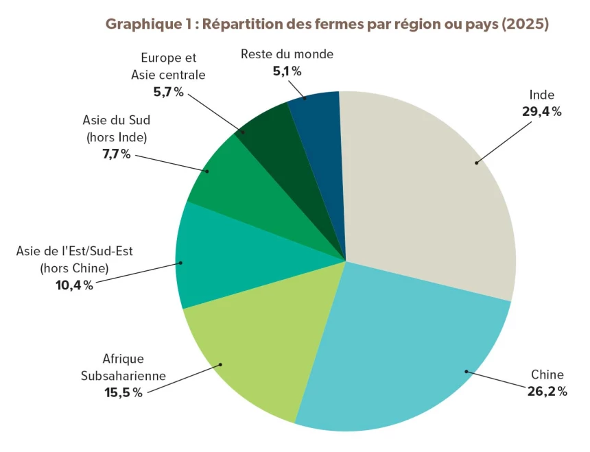 Graphique sur la répartition des fermes par région ou pays (2025) 