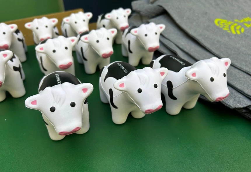 Vaches au logo du Coopérateur