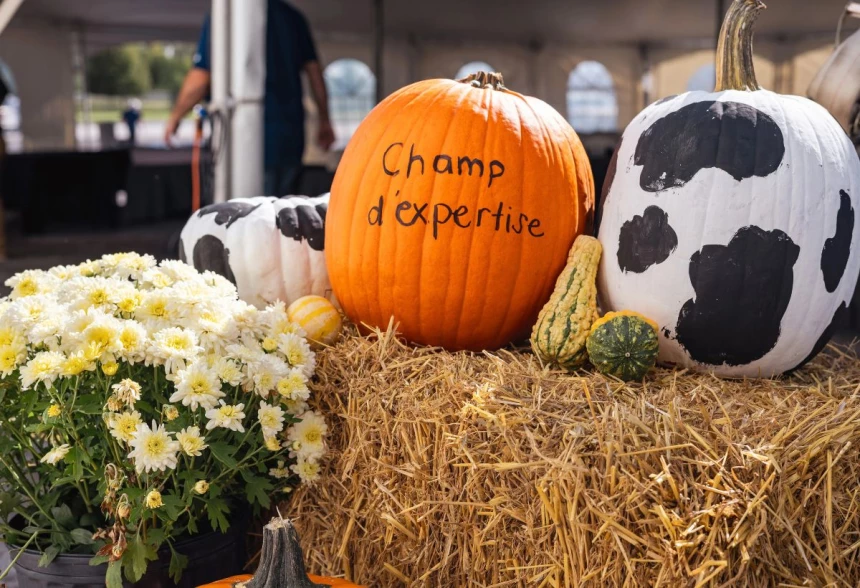 décoration de citrouilles lors des Journées Champ d’expertise 2026 d’Uniag Coopérative