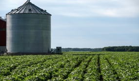 Champ de soya avec un silo séchoire